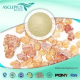 Boswellia Extract Powder,alpha