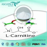 L Acetyl Carnitine Supplier Wh