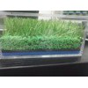 40 MM Rubber Granule Synthetic Turf Infill High Temperature Resistance