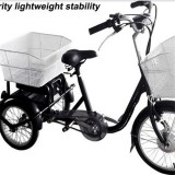 Heißer Verkauf Elektro Dreirad