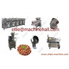 Peanut Coating Machine|Coated Peanut Production Line