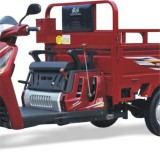 Newest Adult Cargo Three Wheel