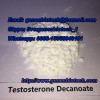 High Purity Material Steroid Powder 5721-91-5 Testosterone Decanoate  (genesbiotech@foxmail.com)