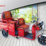 Triciclo del Cargo de Elctric