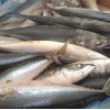 New Arrival Best Quality Cheapest Fresh 250-350g Frozen Mackerel Fish