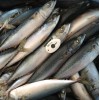 2017 New Arrival Fresh High Quality Headed&Gutted Frozen Mackerel Fish Fillet