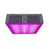 Osunby 600W Cannabis LED Grow Light Full Spectrum for Indoor Greenhouse Plants Veg Bloom Flowering