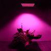 Aluminum Material Led Indoor Garden Lights For Bananas / Flowers , AC85-265V