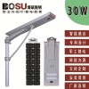 30W All In One Solar LED Street Light(BSC30W)