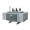 ding fengoil-immersed power transformer,that 20 kv double winding is very popular with consumers