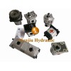 Hydraulic Pump