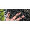 PVC Vinyl Coated Chain Link Fence