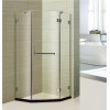 Custom tempered frameless glass shower door