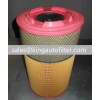 AF25872 1433690 C22478 daf air filter