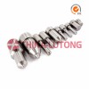 Common Rail Nozzle 0 433 171 974	DLLA142P1595 Factory Sale High Quality