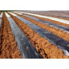 Agriculture orchard wildly used silver black perforated plastic mulch film punch hole price