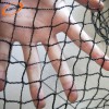 Agricultural Plastic Anti Bird Netting