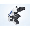 Adopt infinity optical system Biological microscope ML31