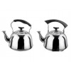 stainless steel kettle