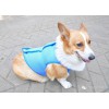 Pet cold suitGood service attitude pet ice coat,preferred ICEDOGGY