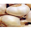 Garlic Extract,LINCAOHERBS,Allium sativam L,Allicin