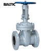 API 600 Flexible Wedge Gate Valves