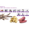 Sweet potato starch processing plant