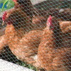 Chicken Wire Netting Hexagonal Wire Netting Poultry Mesh
