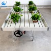 Ebb and flow rolling bench in greenhouse for growing plants