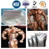 62-90-8 Tren Anabolic Steroid Powders Nandrolone Phenylpropionate Durabolin