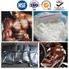 CAS 360-70-3 Legal Muscle Building Steroids Nandrolone Decanoate Injection