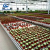 Greenhouse ebb and flow tray flood table rolling bench