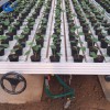 Greenhouse ebb and flow rolling bench seedbed with hand wheel