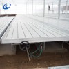 ebb and flow rolling bench in greenhouse with 4x8 tray