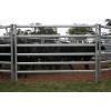 Livestock Fence