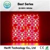 Herifispecializes in  led growand led grow light 600w service
