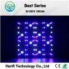 Get the competitivePlant lamp for yourself