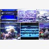 Best led aquarium light, your choice