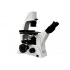 Inverted Fluorescence Microscope MF52
