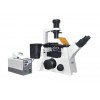 Inverted Fluorescence Microscope MF53