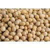 Soybeans CIF China