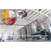 Factory outlet industrial glucose syrup production equipment