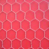 Hexagonal Wire Netting