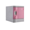 ABS Plastic Locker T-320E-50