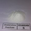High Quality Drostanolone Enanthate injectable steroids powder