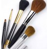 Beauty makeup tools, a leadingpony makeup brush brand which has a vast market in china , is your goo