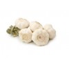 Fresh Pure White Garlic