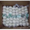 Fresh Case Of White Garlic Is Provided