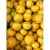 Wholesale Price fresh mandarin with good quality