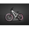 ELECTRIC BIKE/PEDELEC-TS-EB003